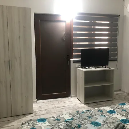 Alena * 康斯坦察